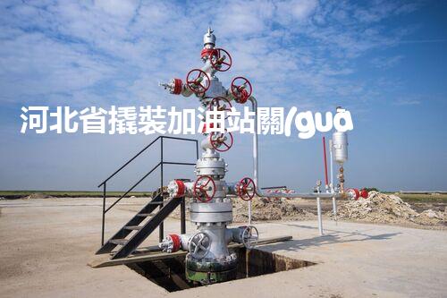 河北省撬裝加油站關(guān)鍵技術(shù)突破！化工廠拆除工程的新方法探索？